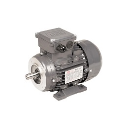 Three Phase Electric Motors (3PH)